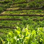 Rural Da Quinta Do Silval 4*