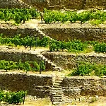 Rural Da Quinta Do Silval 4*