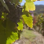 מלון Rural Da Quinta Do Silval
