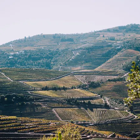 Rural Da Quinta Do Silval