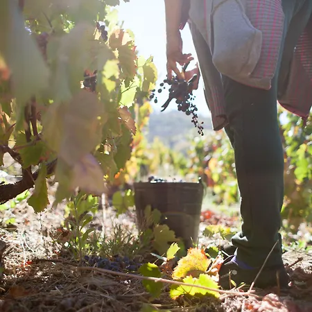 Rural Da Quinta Do Silval Hotel 4*