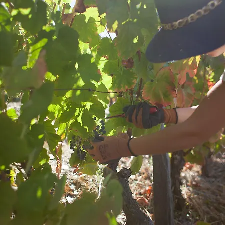 Rural Da Quinta Do Silval Vale de Mendiz