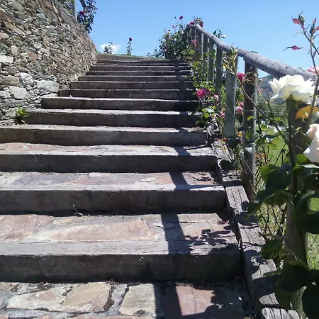 Rural Da Quinta Do Silval מלון