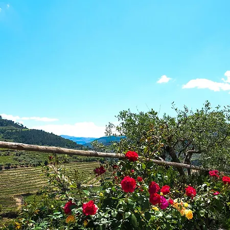 Hotel Rural Da Quinta Do Silval Vale de Mendiz