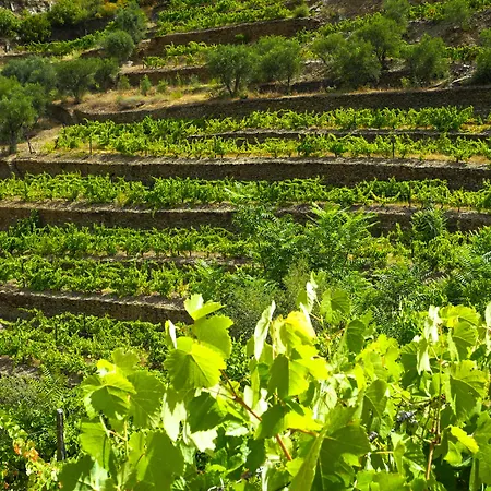 Rural Da Quinta Do Silval 4*
