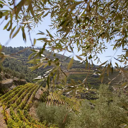 Rural Da Quinta Do Silval 4* Vale de Mendiz