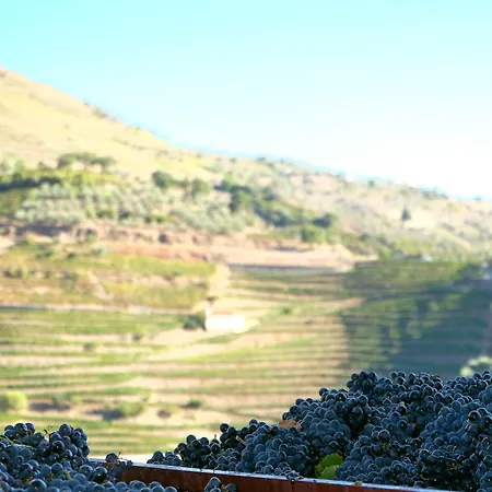Rural Da Quinta Do Silval מלון