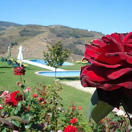 Rural Da Quinta Do Silval