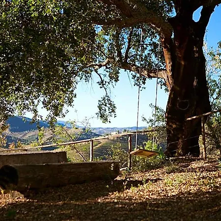 Rural Da Quinta Do Silval Otel