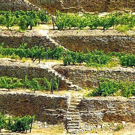 Rural Da Quinta Do Silval ホテル Vale de Mendiz