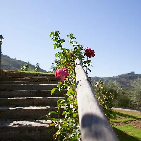 Rural Da Quinta Do Silval