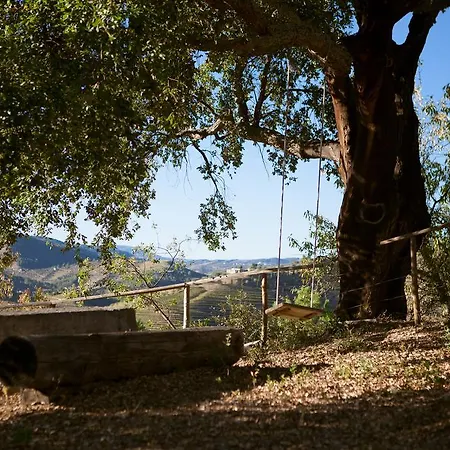 Rural Da Quinta Do Silval Hotel