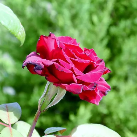 Hotel Rural Da Quinta Do Silval Vale de Mendiz