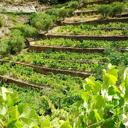 Rural Da Quinta Do Silval Hotel 4*