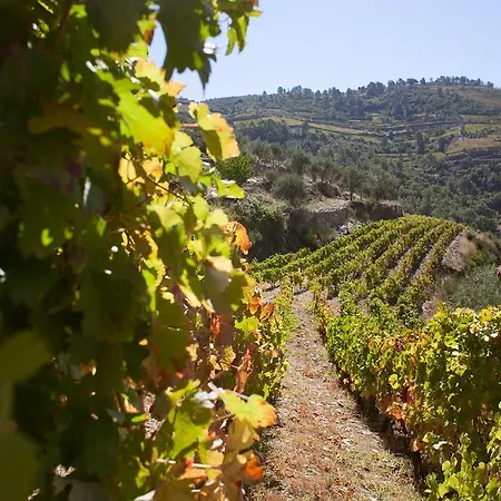 מלון Rural Da Quinta Do Silval 4*