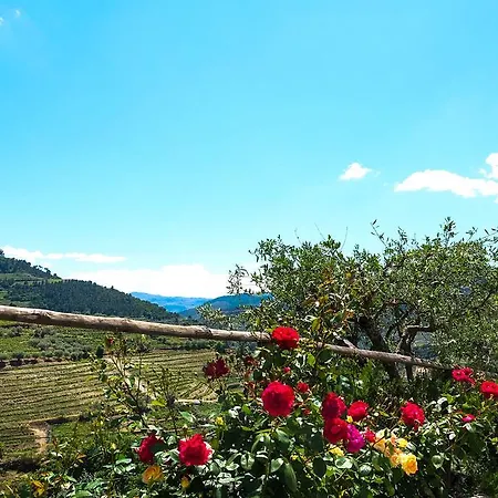 Rural Da Quinta Do Silval 4*