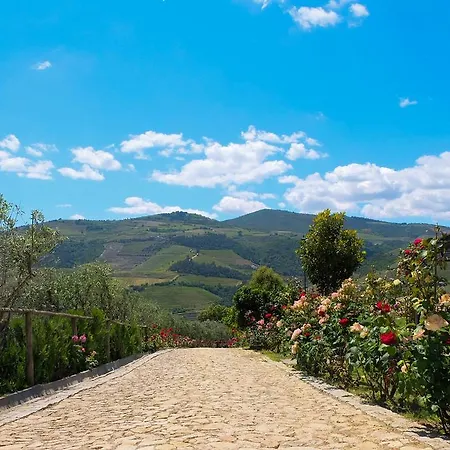 Rural Da Quinta Do Silval 4* Vale de Mendiz