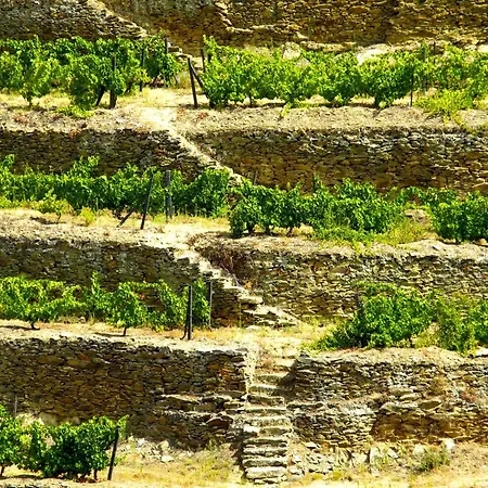 Rural Da Quinta Do Silval 4*