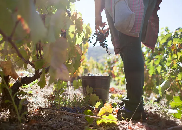 Rural Da Quinta Do Silval מלון 4*