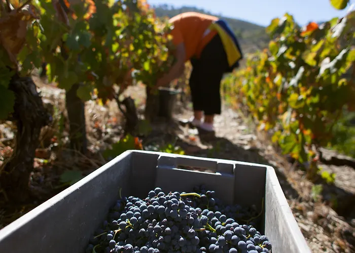 Rural Da Quinta Do Silval Vale de Mendiz