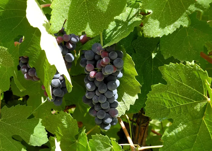 Rural Da Quinta Do Silval 4*