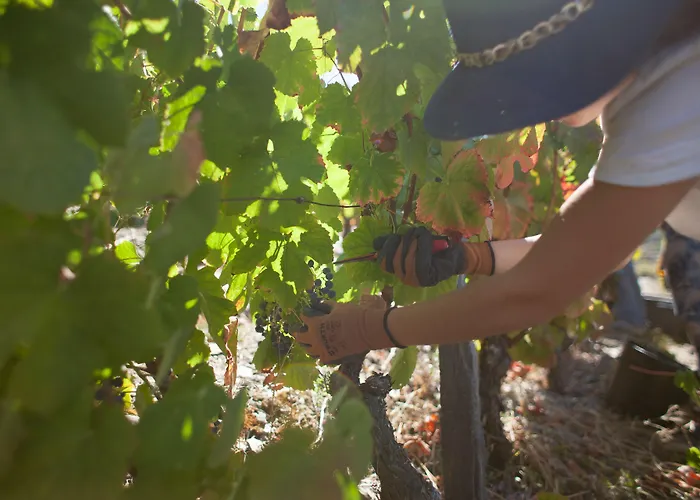 Rural Da Quinta Do Silval Vale de Mendiz