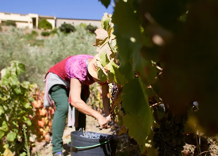 מלון Rural Da Quinta Do Silval Vale de Mendiz