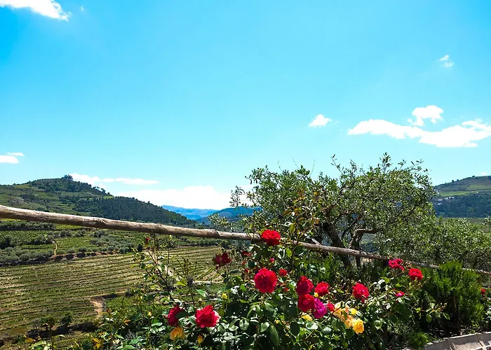 Szálloda Rural Da Quinta Do Silval Vale de Mendiz