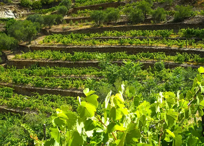 Rural Da Quinta Do Silval 4*