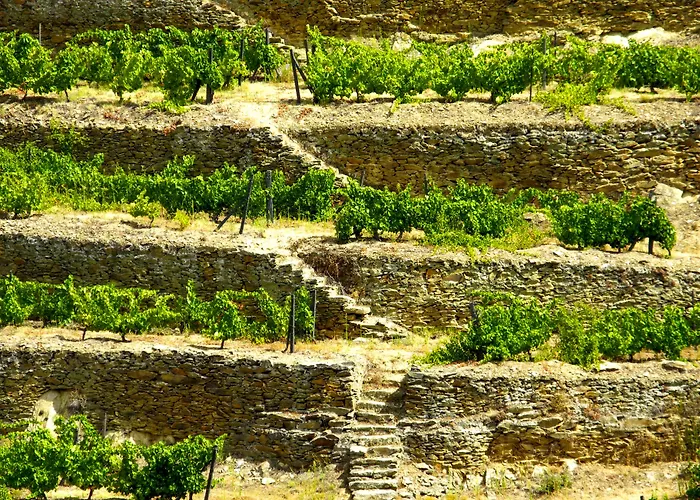 Rural Da Quinta Do Silval 4*