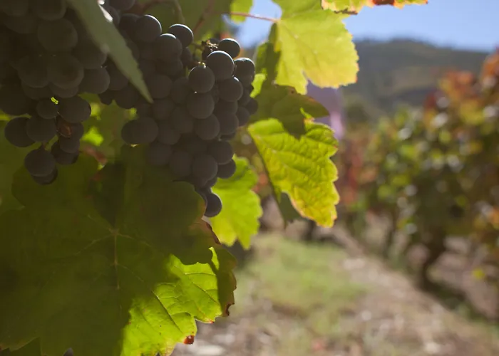 Hotel Rural Da Quinta Do Silval