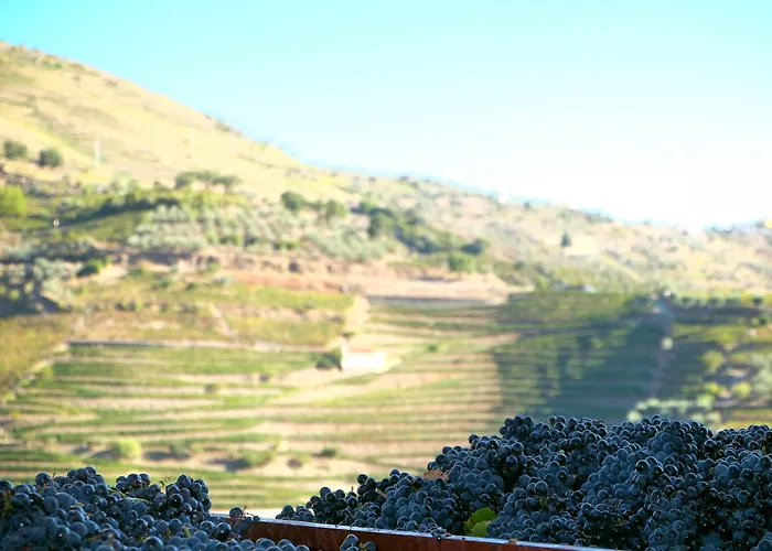 Rural Da Quinta Do Silval מלון