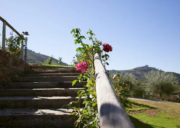 Rural Da Quinta Do Silval