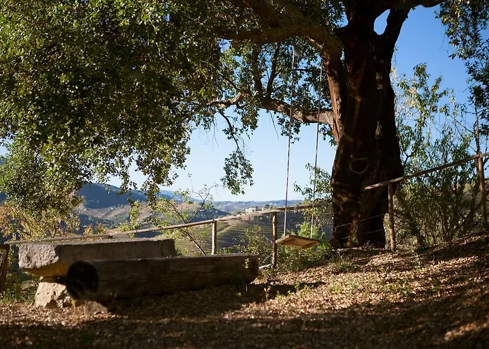 Rural Da Quinta Do Silval מלון