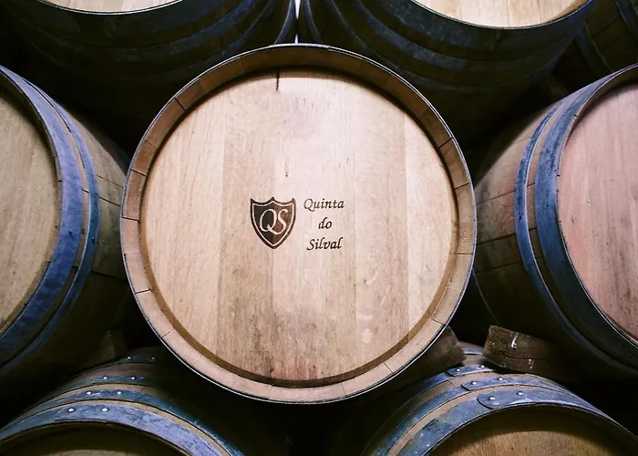 Rural Da Quinta Do Silval מלון 4*