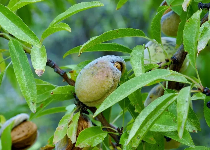 Rural Da Quinta Do Silval
