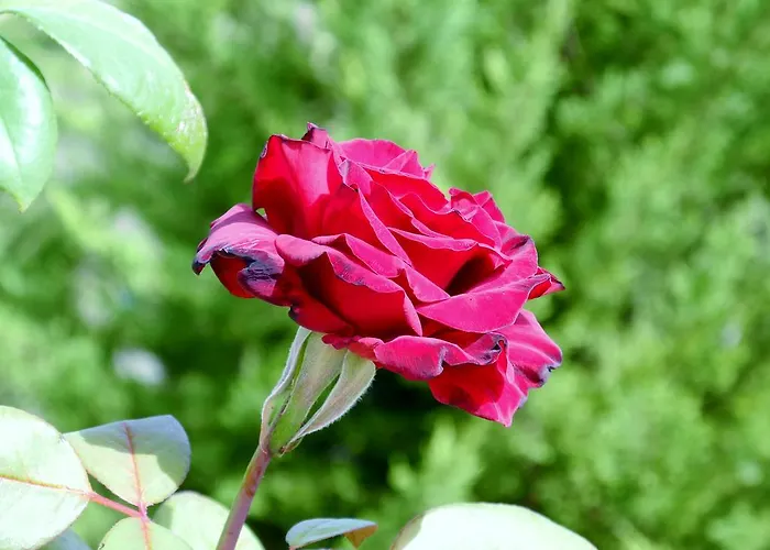 Szálloda Rural Da Quinta Do Silval Vale de Mendiz