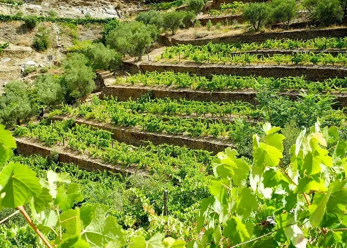 Rural Da Quinta Do Silval Hotel 4*