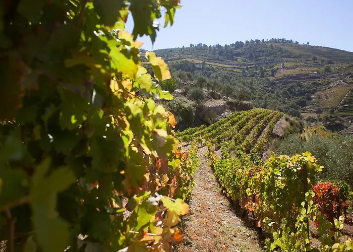 מלון Rural Da Quinta Do Silval 4*